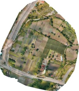 orthophoto, orthomosaic, mapping, image