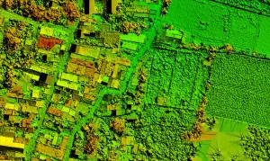 orthophoto, orthomosaic, mapping, image, DSM, digital surface model, Digital terrain model, DTM