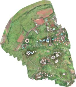 orthophoto, orthomosaic, mapping, image